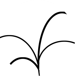 Leaf Logo White & Black